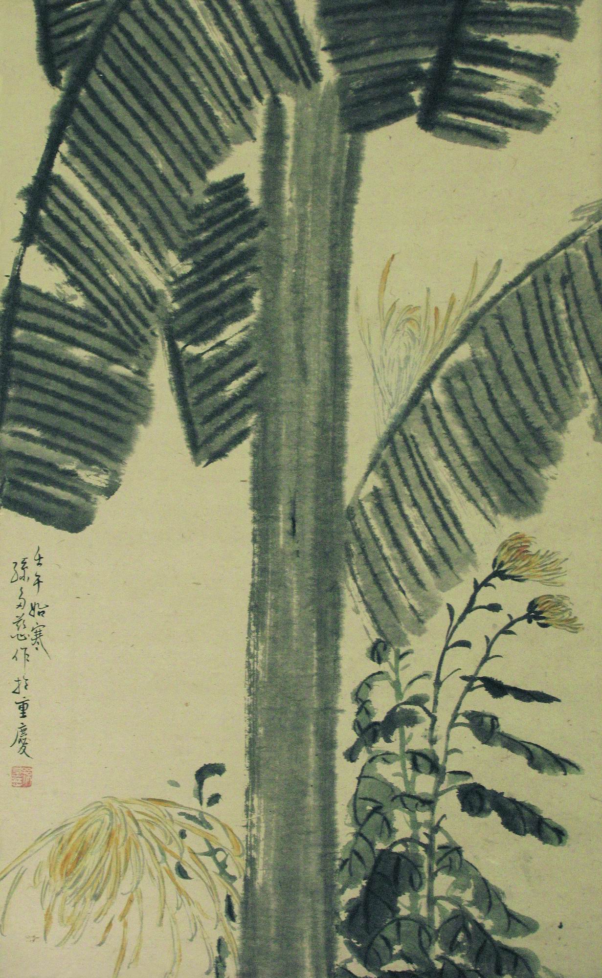 D-55  芭蕉樹