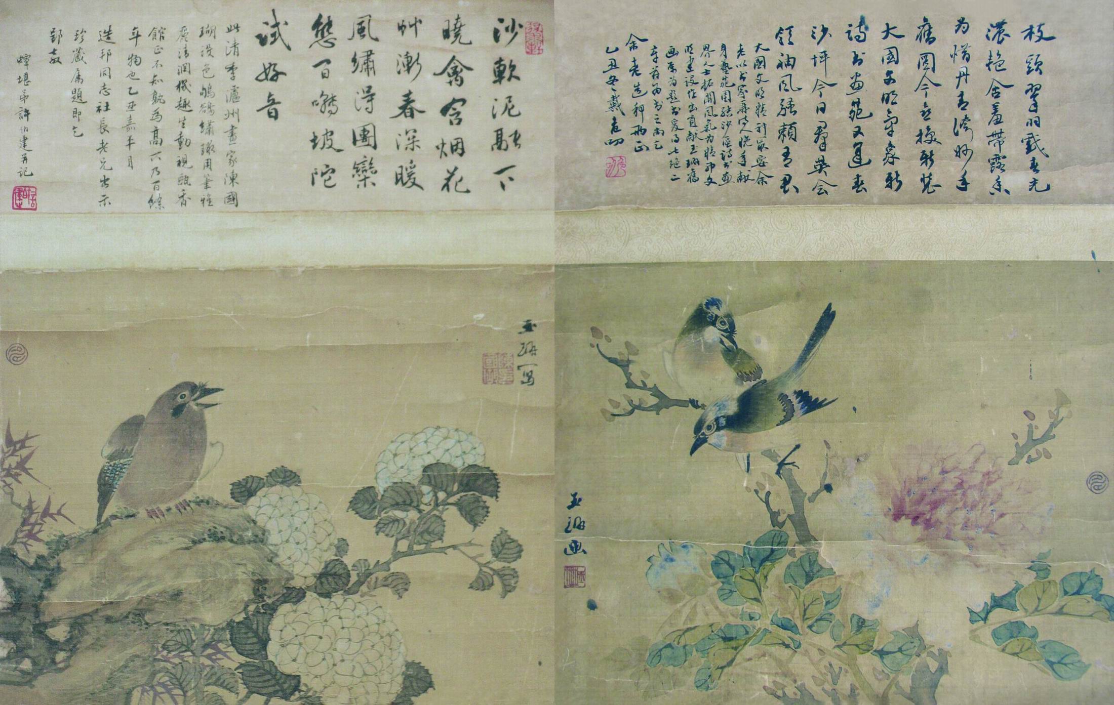 D-53  花鳥