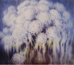 C-5  出水芙蓉