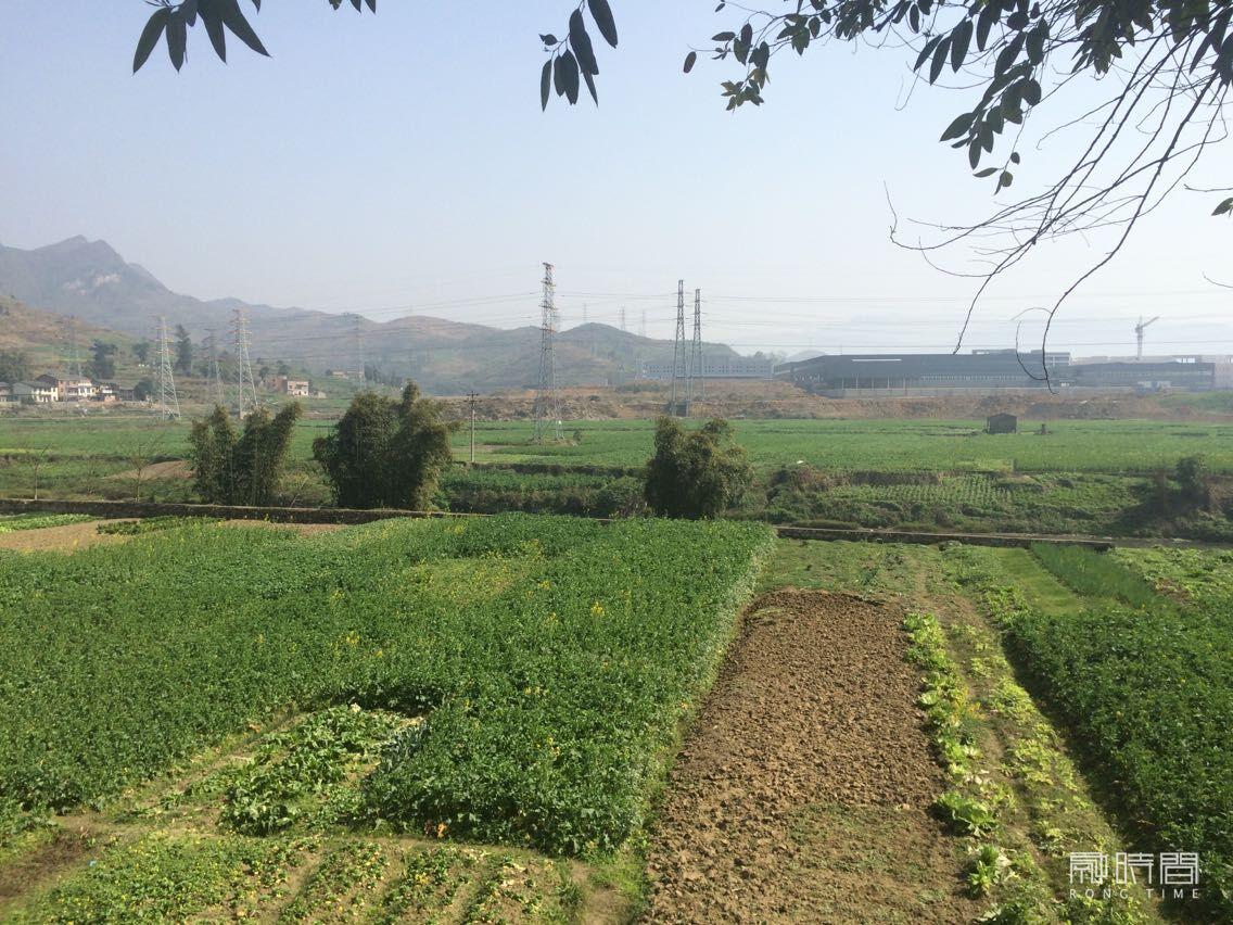 重慶市南川區(qū)新橋十二號(hào)A、B地塊司法拍賣公告