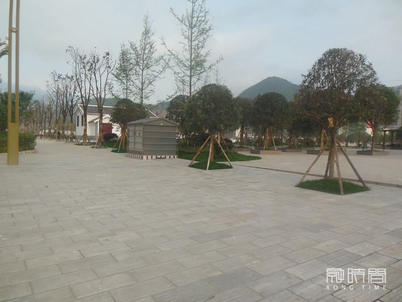 馬遙