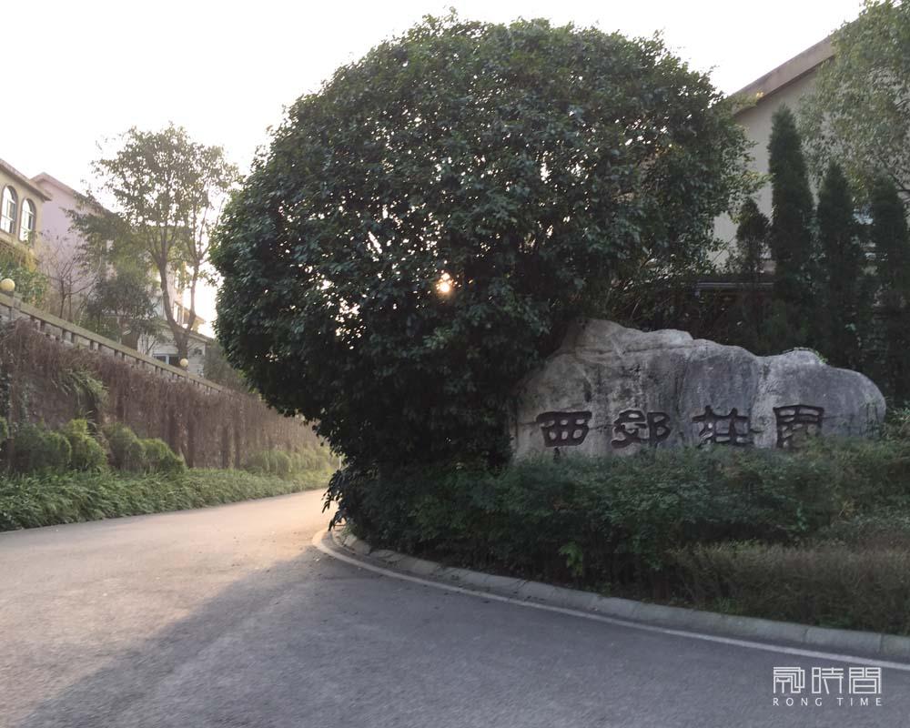 龔玉