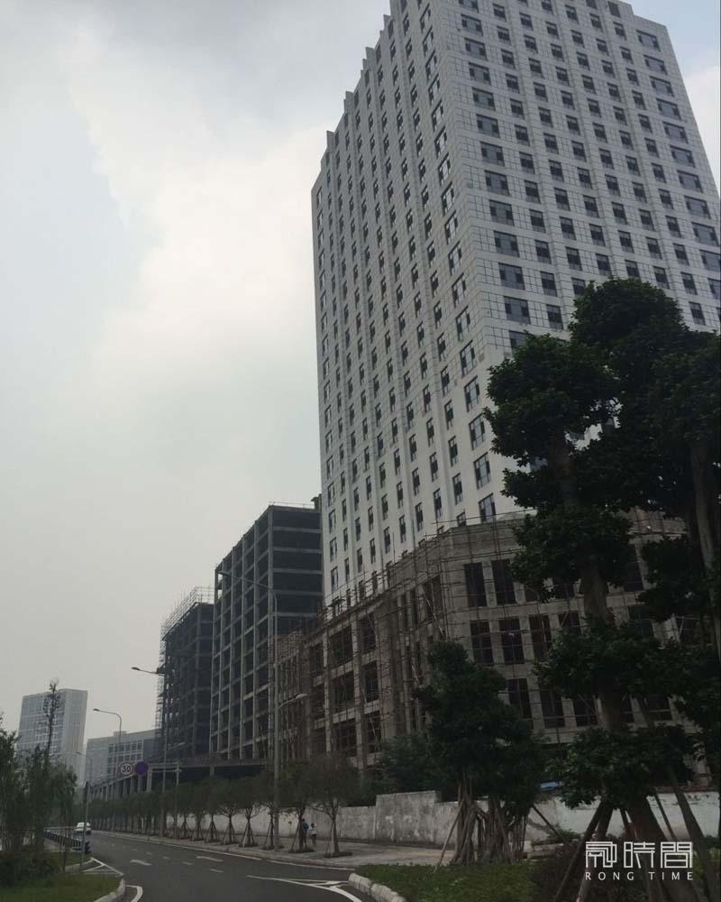 張采芹