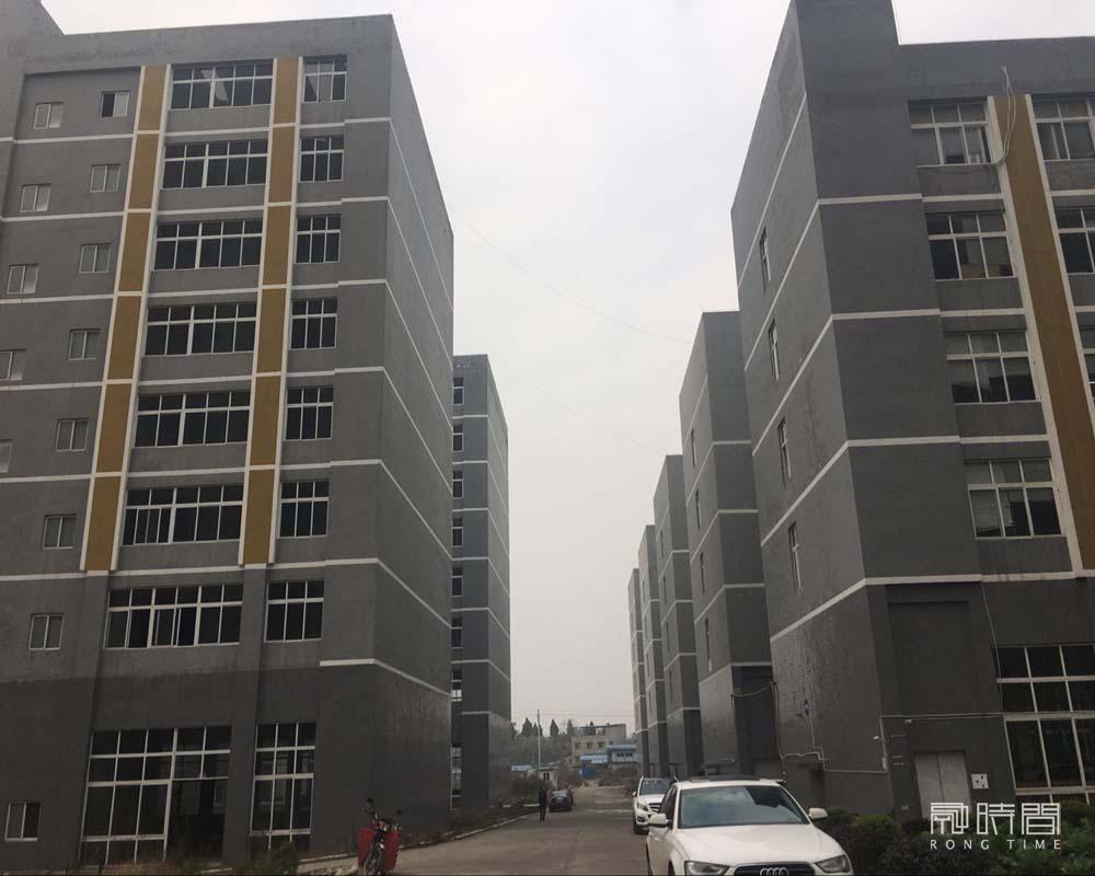 梅忠志