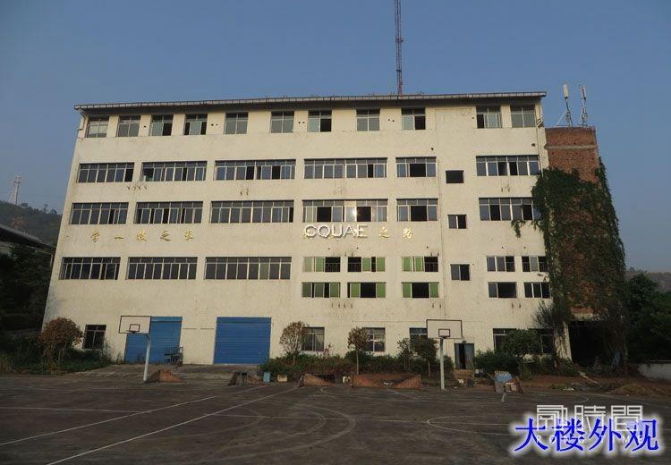 重慶市萬州區(qū)（龍寶）龍安路163-175號-1至4層-1-4層房屋及土地司法拍賣公告